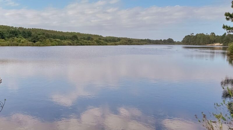 Prefeitura de Passo de Torres trabalha na limpeza da Lagoa da Tapera